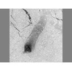 Солид, решетчатый настил, 178